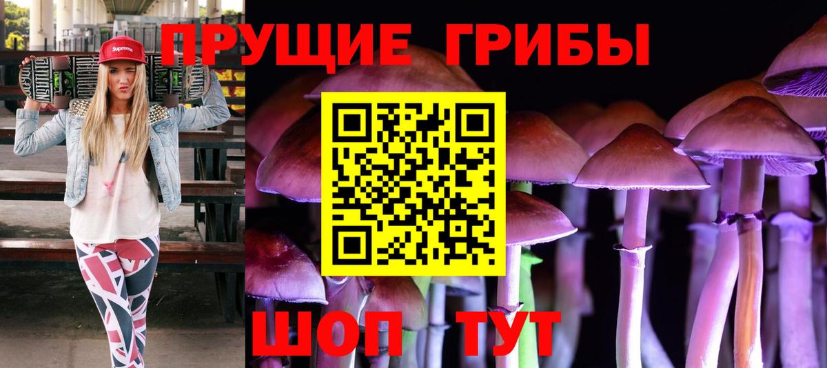 Псилоцибиновые грибы прущие грибы  Вход с VPN  Химки 